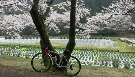 自転車大好きな私が23万円のロードバイクに乗らなくなった理由