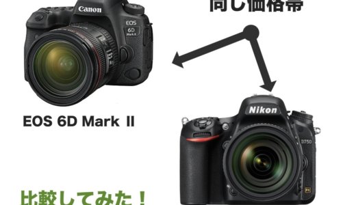 EOS 6D Mark 2とD750 同じ価格帯のカメラを比較してみたら…