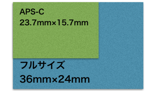 フルサイズ一眼レフカメラを使ってわかったAPS-Cの魅力