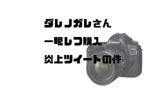 ダレノガレさんの一眼レフ購入炎上ツイートをカメラ好きの私目線で解説