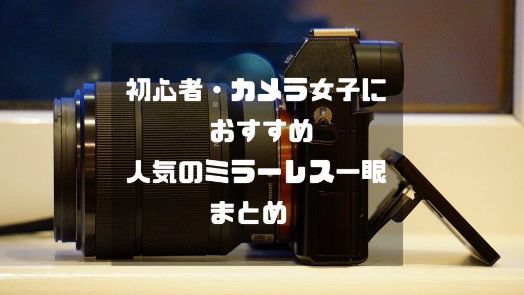 21年最新 初心者におすすめのミラーレス一眼カメラまとめ 失敗しない選び方を徹底紹介 Imagination