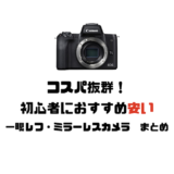 コスパ抜群 初心者におすすめ安い一眼レフ ミラーレスカメラまとめ Imagination