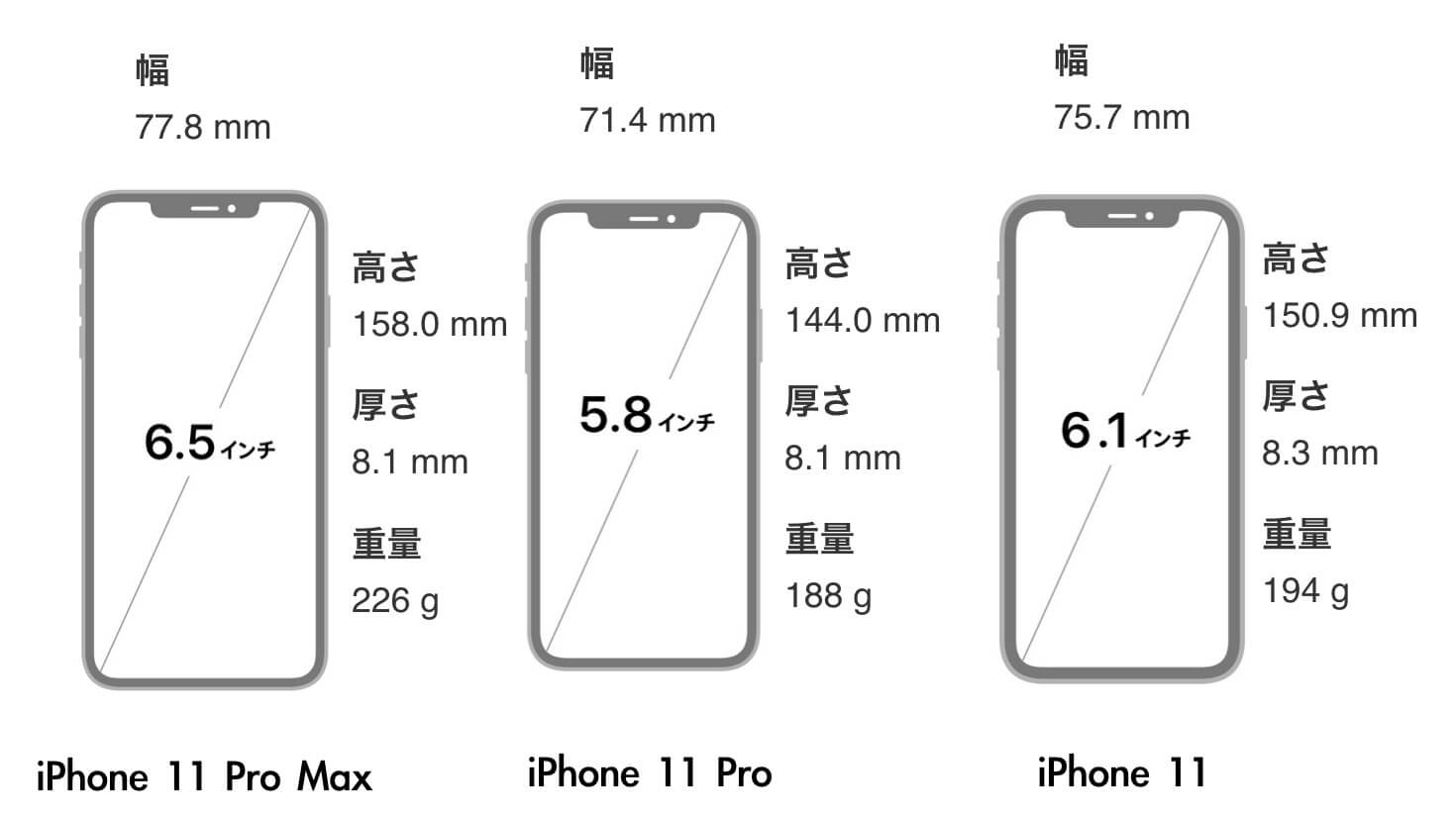 Iphone11 サイズ