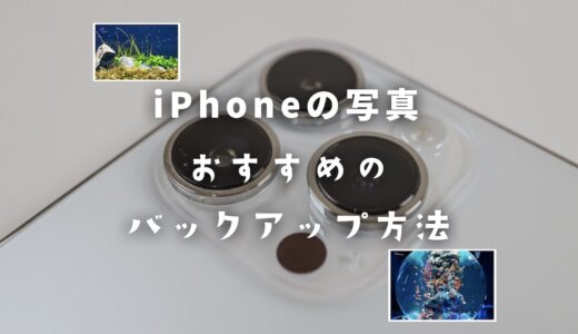 撮った写真どうする？iPhoneの写真をバックアップするおすすめの方法